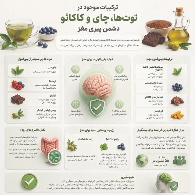 طراحی اینفو